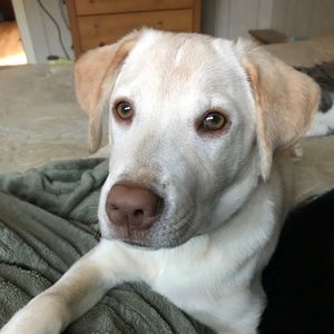 Meet your Posher, Shellie